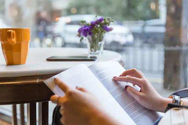 猫咪繁育品种要求是什么