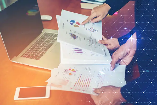 榴莲苗种植要求是什么